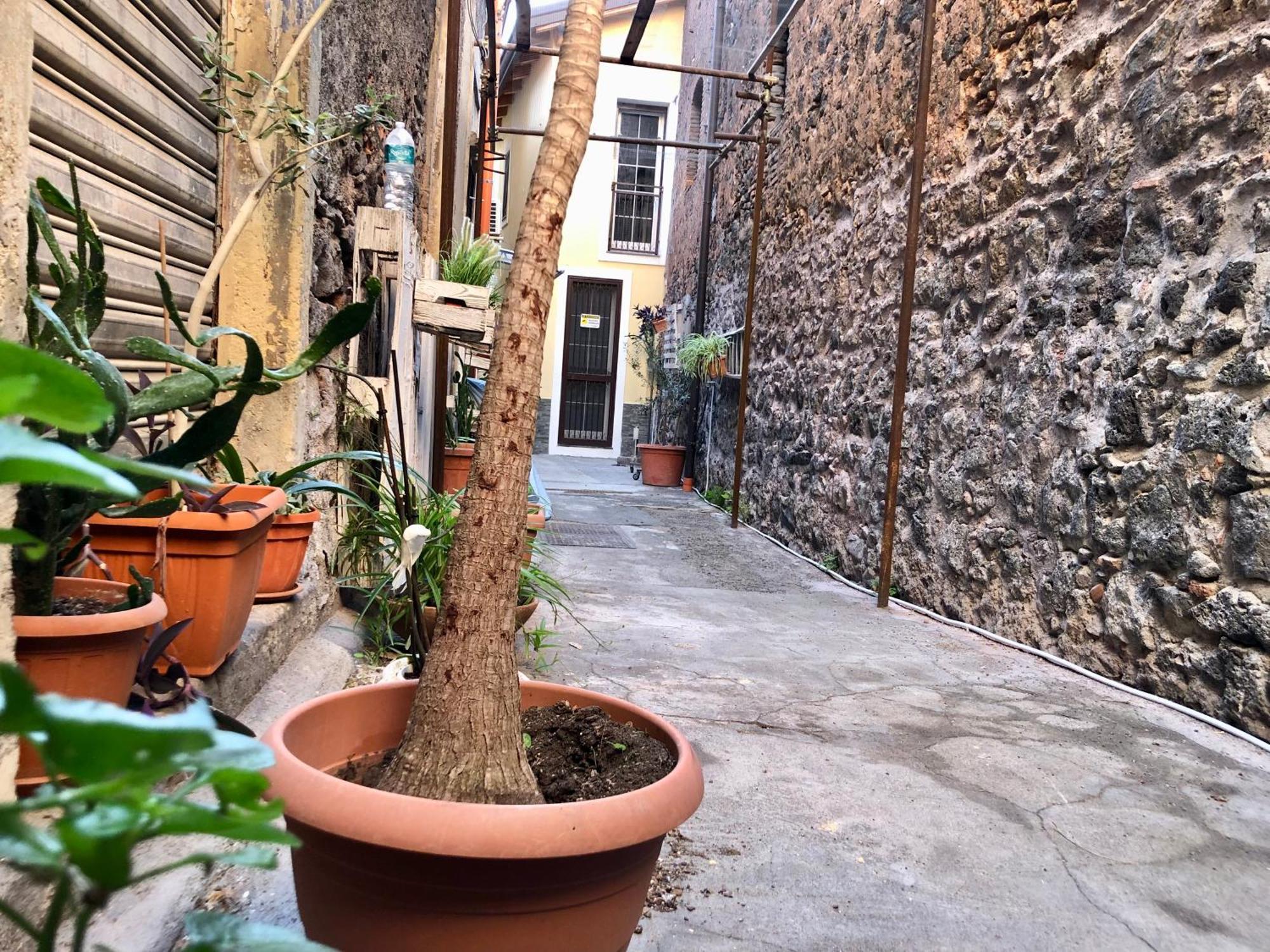 דירות קטאניה Loft Vicolo Lavico מראה חיצוני תמונה
